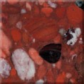 /album/material-zula-/marinace-red-jpg/